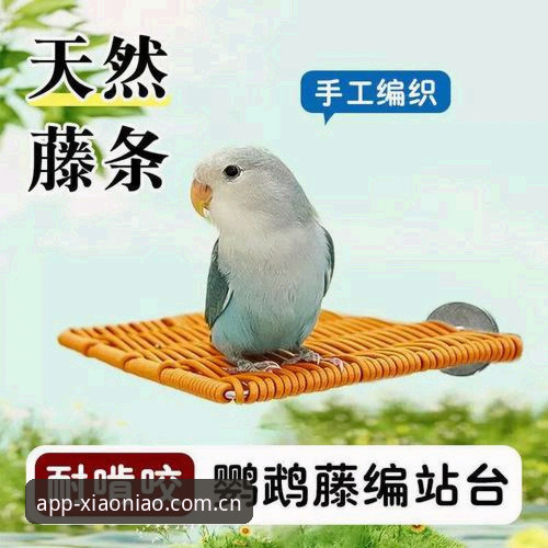 小鸟平台是正规平台吗？一位老用户用三年经验告诉你答案