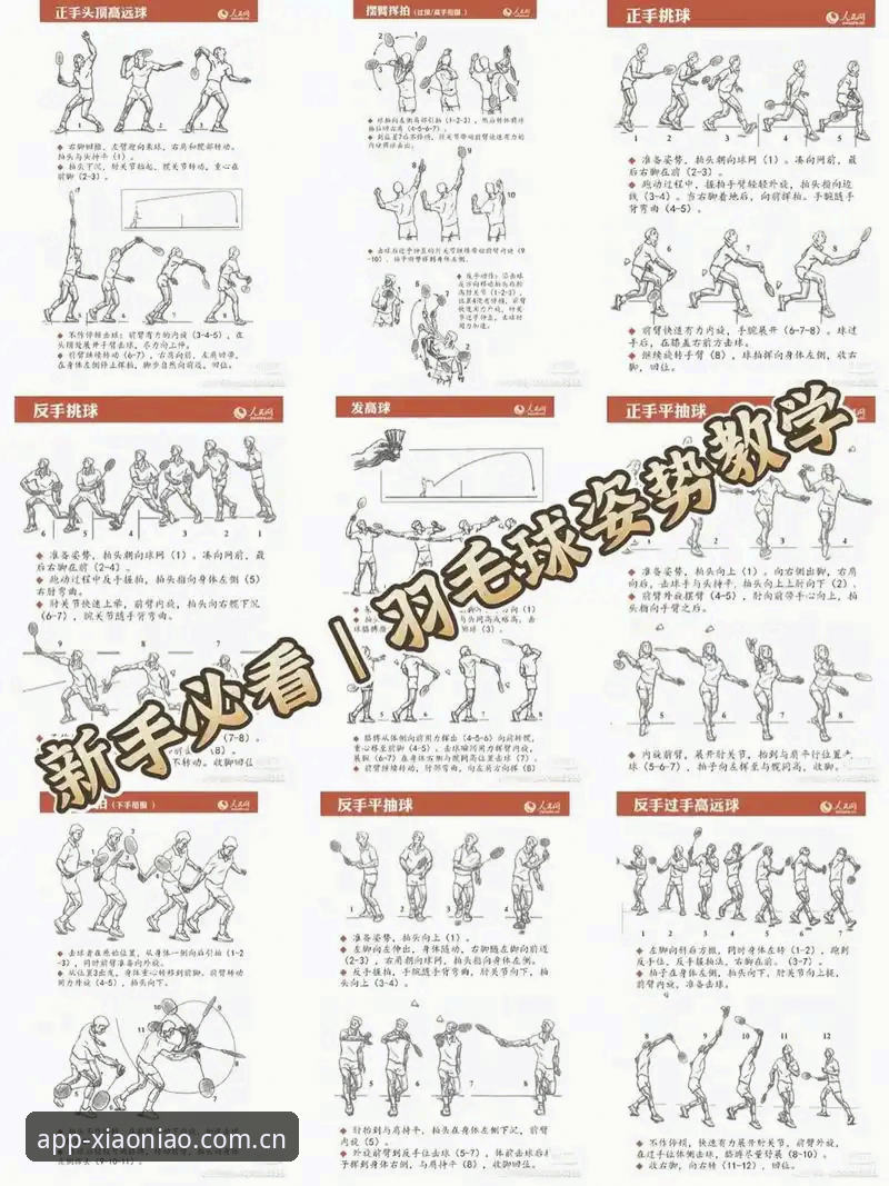 小鸟体育使用教程全面评测：从新手到高手的实操指南